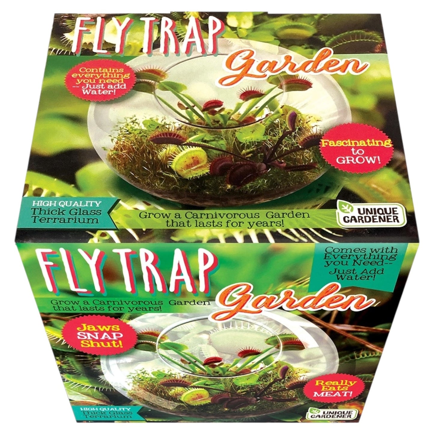 Flytraps Glass Terrarium Seed Kit