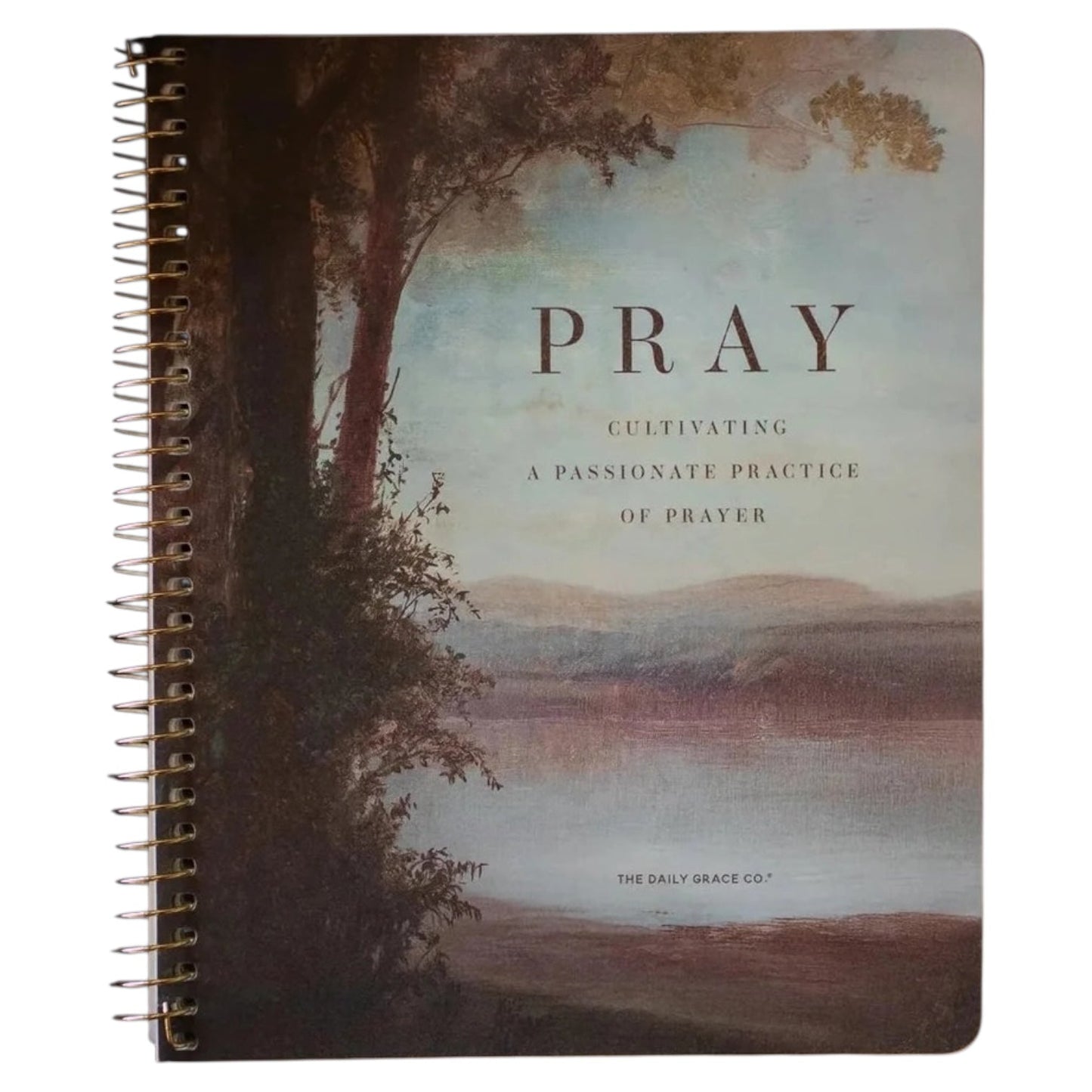 Pray (Cultivating a Passion for Prayer)