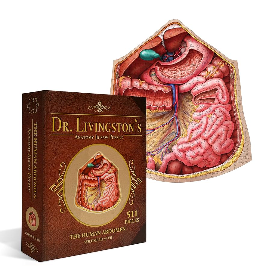 Anatomy Jigsaw Puzzle: the Human Abdomen