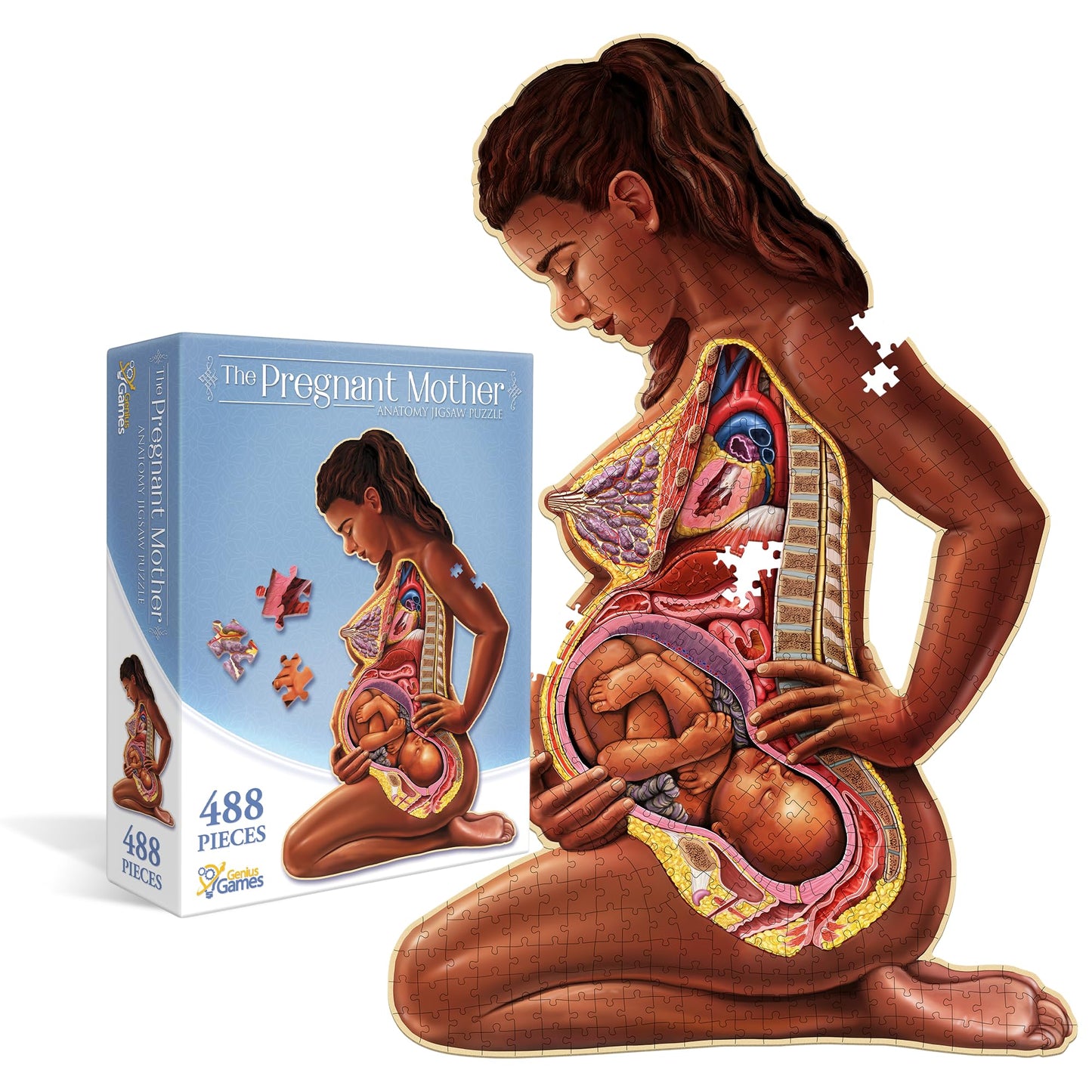Anatomy Jigsaw Puzzle: the Pregnant Mother