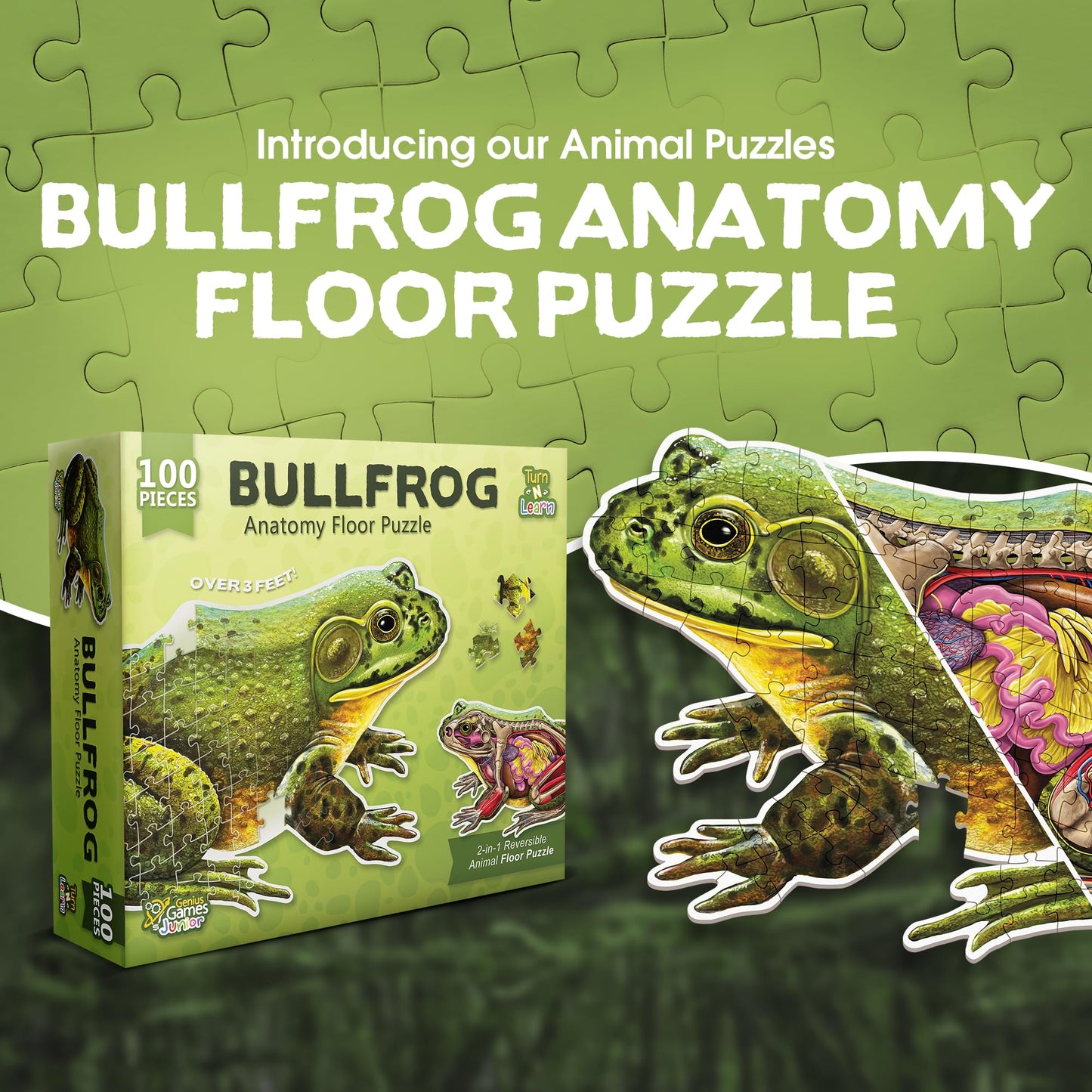 Turn N Learn: Frog Puzzle