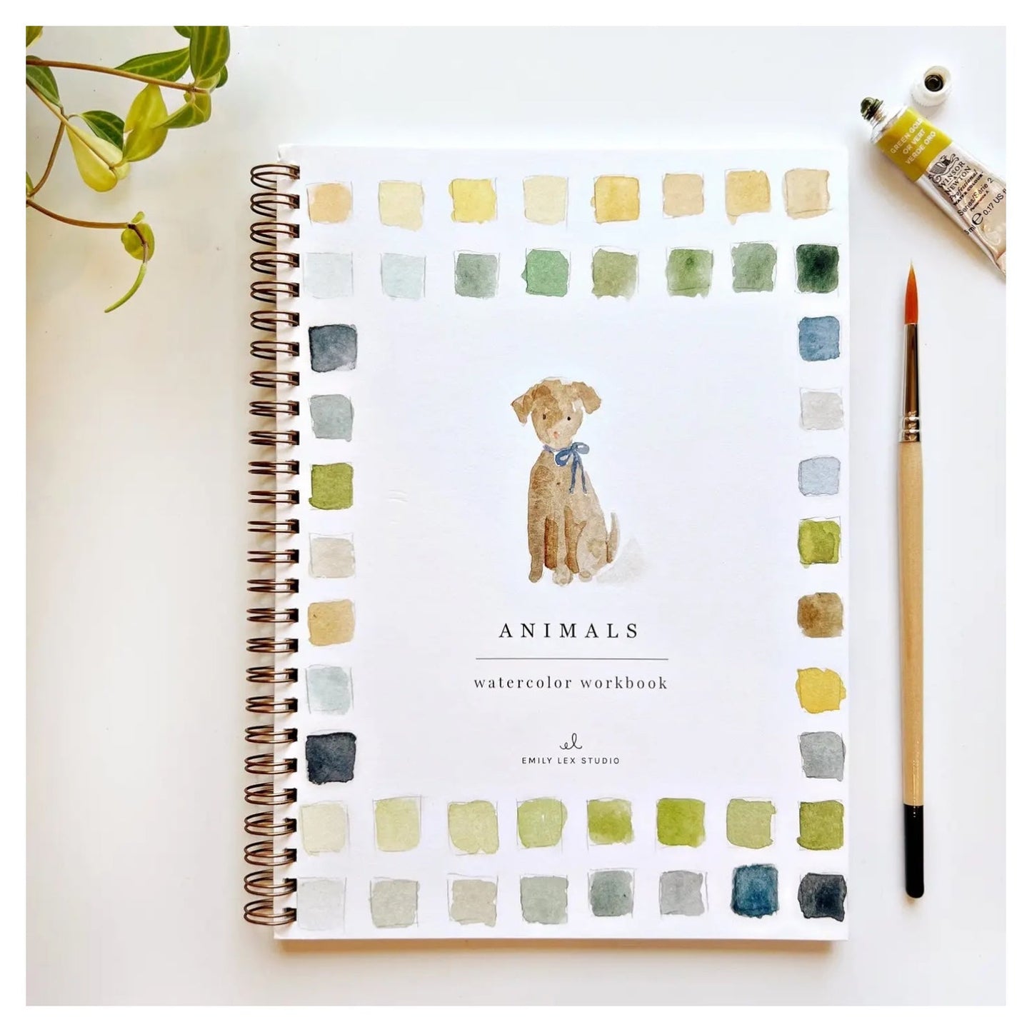 Animals Watercolor Workbook