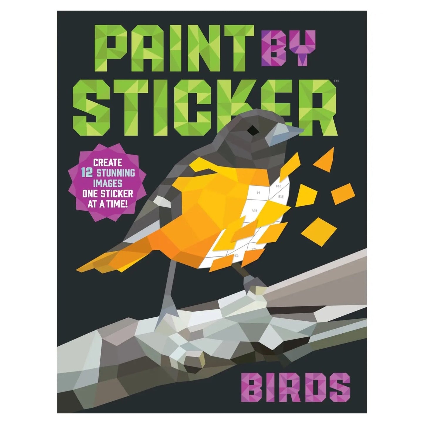 Paint By Sticker: Birds