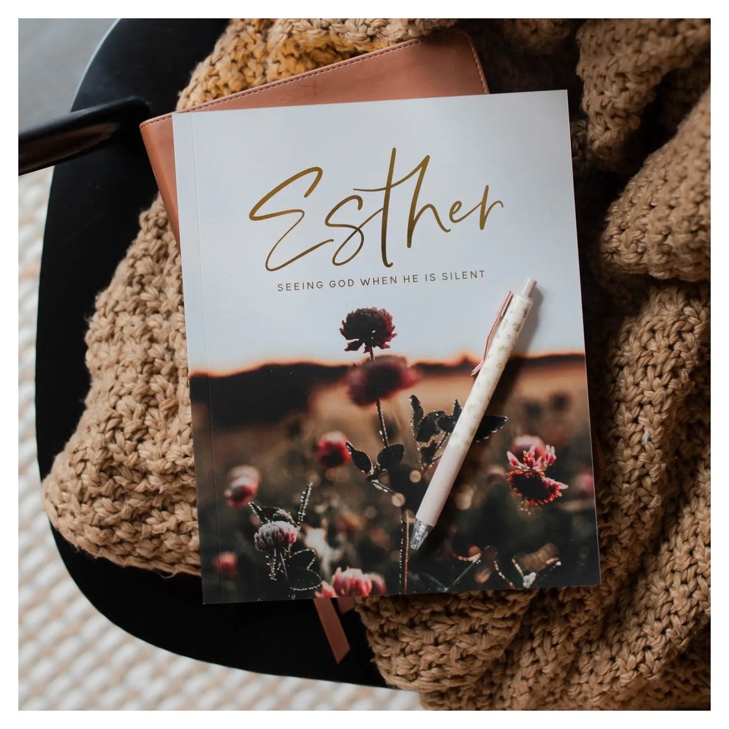 Esther (Seeing God When He Is Silent)