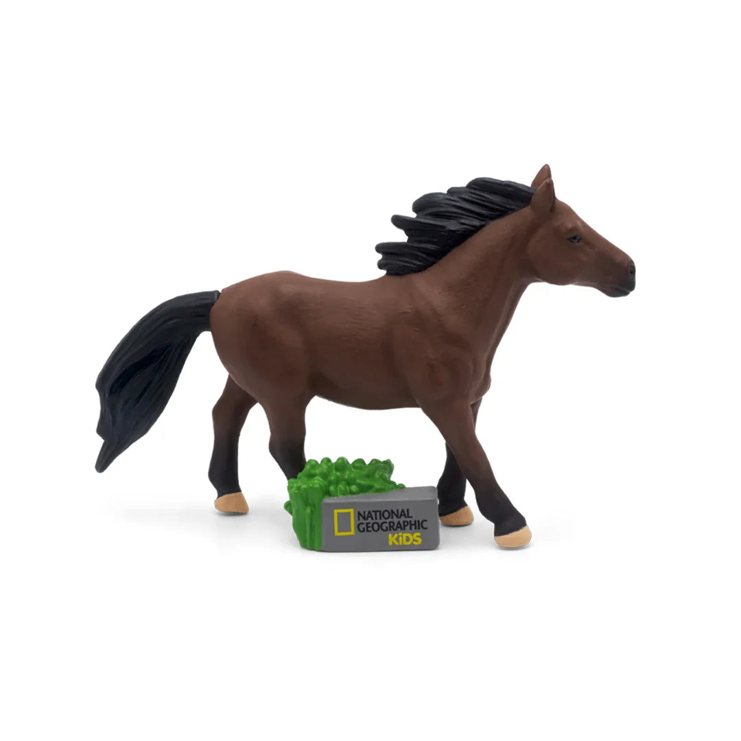 Horse Tonie