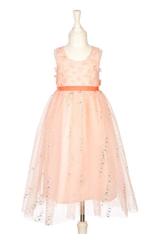 Pink Dress (8-10 Years)