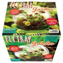 Flytraps Glass Terrarium Seed Kit