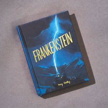 Frankenstein (Hardcover)