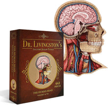 Anatomy Jigsaw Puzzle: the Human Head