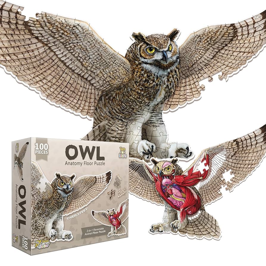 Turn N Learn: Owl Puzzle