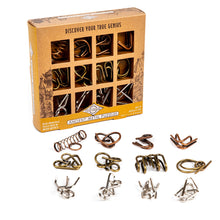 True Genius Ancient Metal Puzzle 12 pc