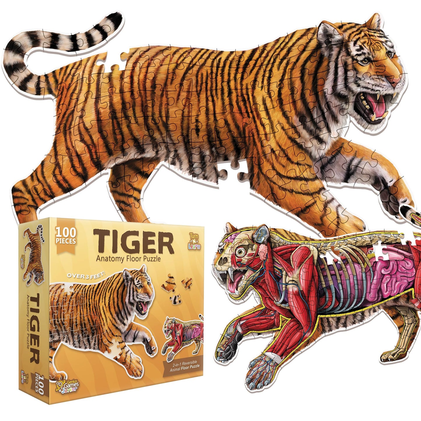 Turn N Learn: Tiger Puzzle