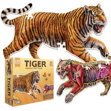 Turn N Learn: Tiger Puzzle