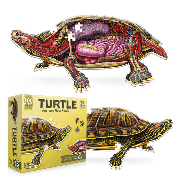 Turn N Learn: Turtle Puzzle