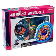 4D Science Animal Cell Anatomy Model