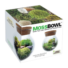 Mossbowl Glass Terrarium w/ Live Moss