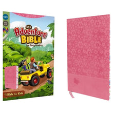 NIRV Adventure Bible For Early Readers (Pink)