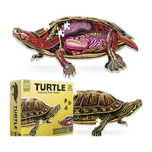 Turn N Learn Turtle Puzzle