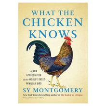 What the Chicken Knows