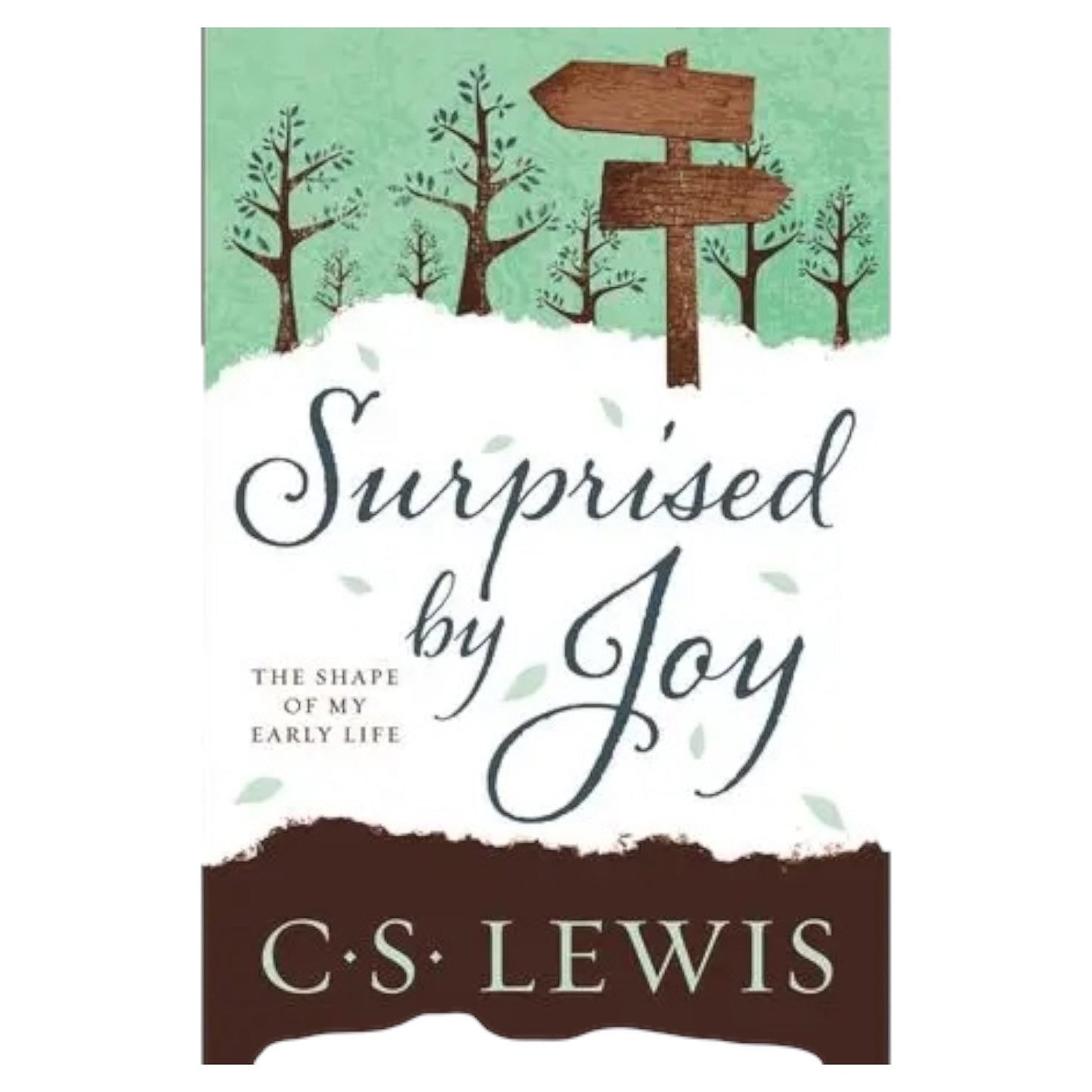 Surprised by Joy