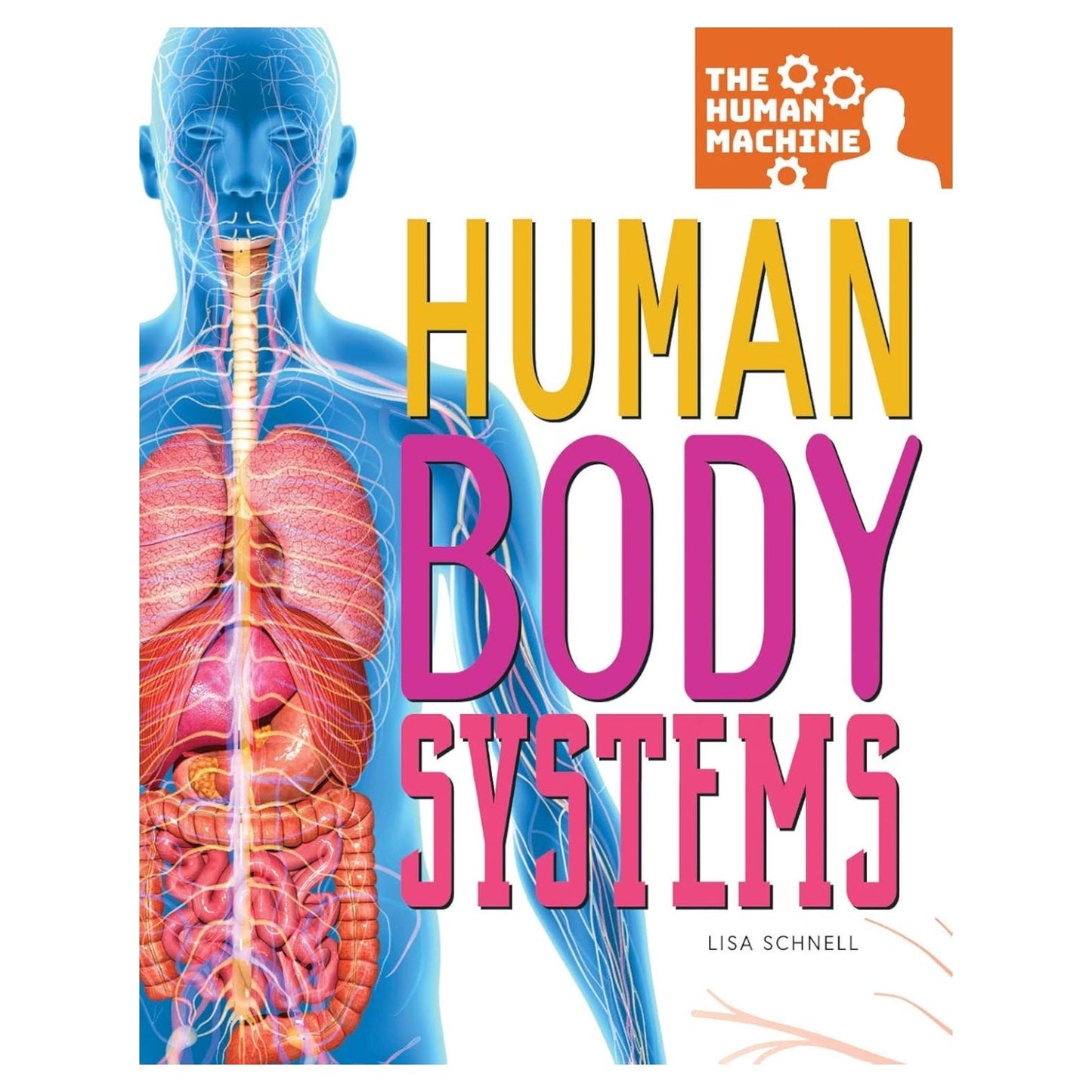 Human Body Systems