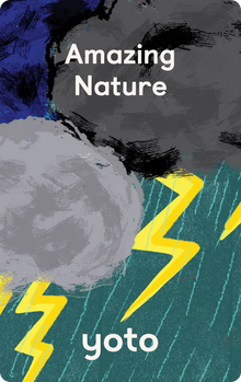 Amazing Nature (Yoto)