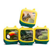 Wildlife in the Woods (Clever Tonies)