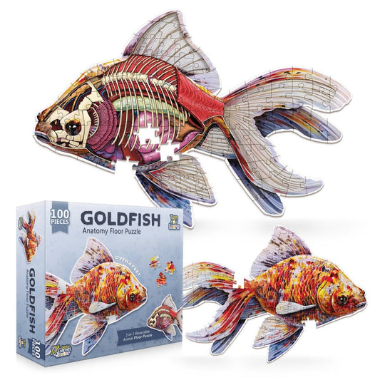 Turn N Learn: Goldfish Puzzle
